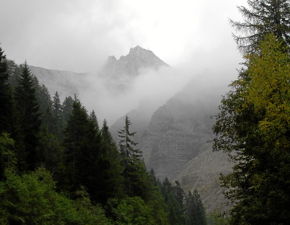 IMGP0803