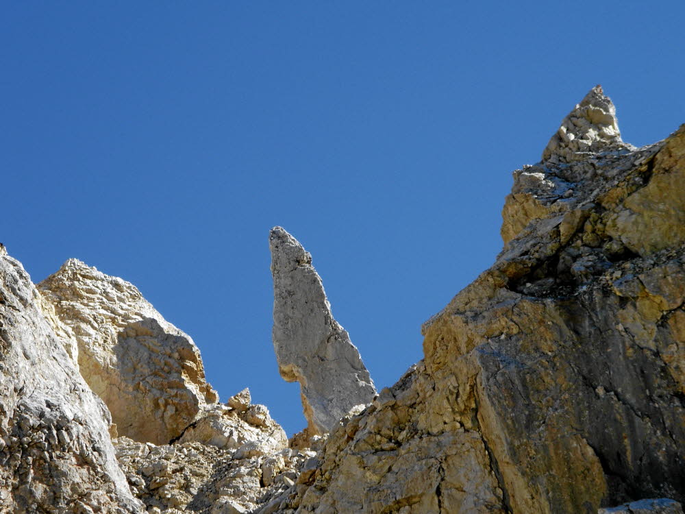 IMGP0847