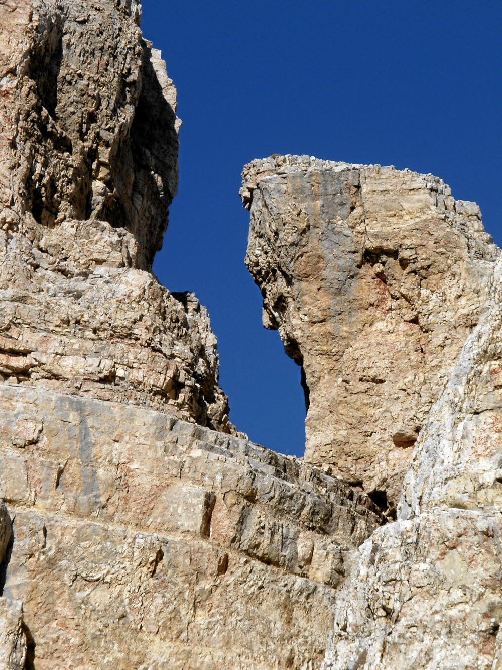 IMGP0873