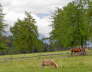 IMGP0981