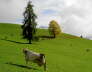 IMGP0995