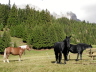 IMGP1694