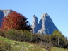 IMGP1862