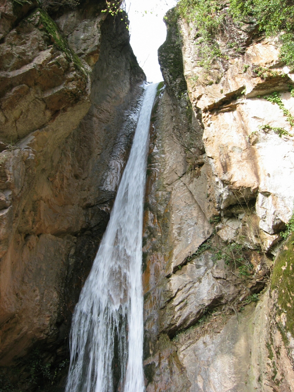2003