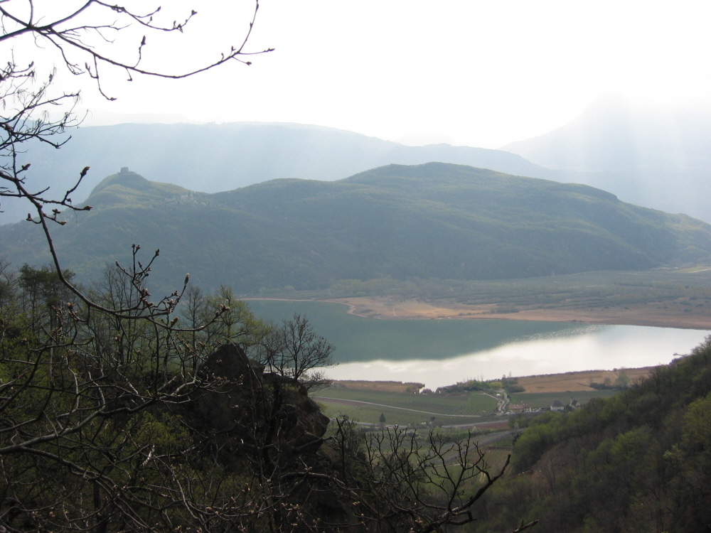 2003