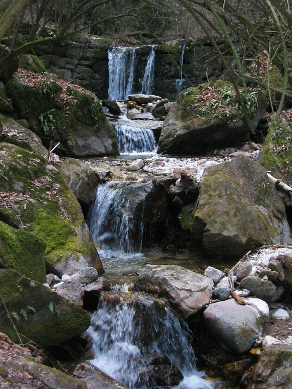 2003