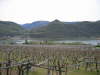 2003