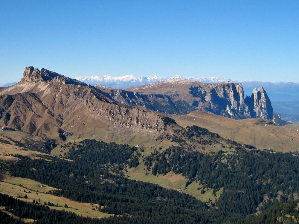 IMG_0789