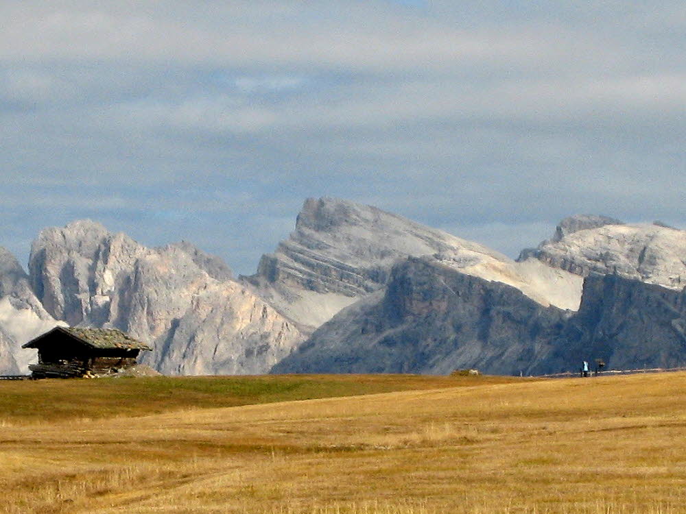 IMG_0918