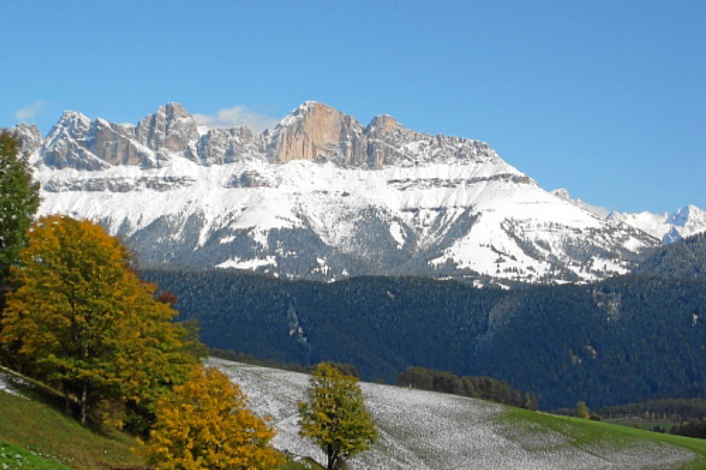 2003