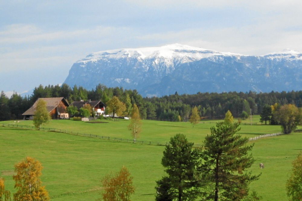2003
