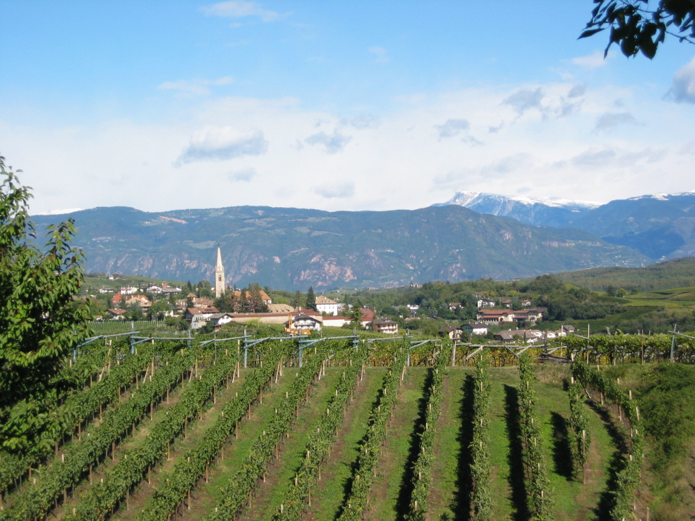 2003