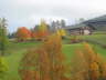 2004