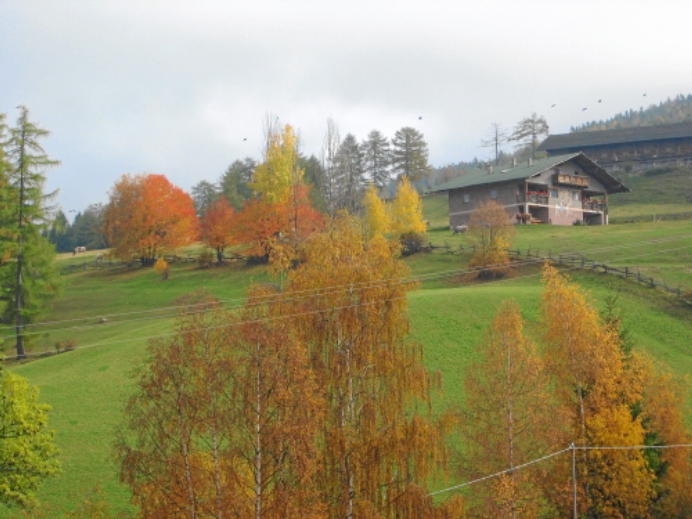 2004