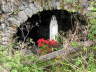 2004
