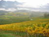 2004