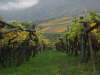 2004