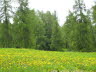 Kaltern-2008-05_005
