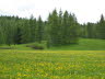 Kaltern-2008-05_007