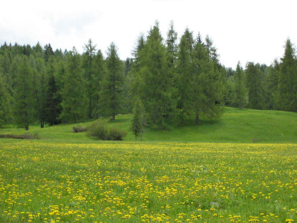 Kaltern-2008-05_007
