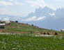 Kaltern-2008-05_018