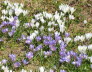 Kaltern-2008-05_019