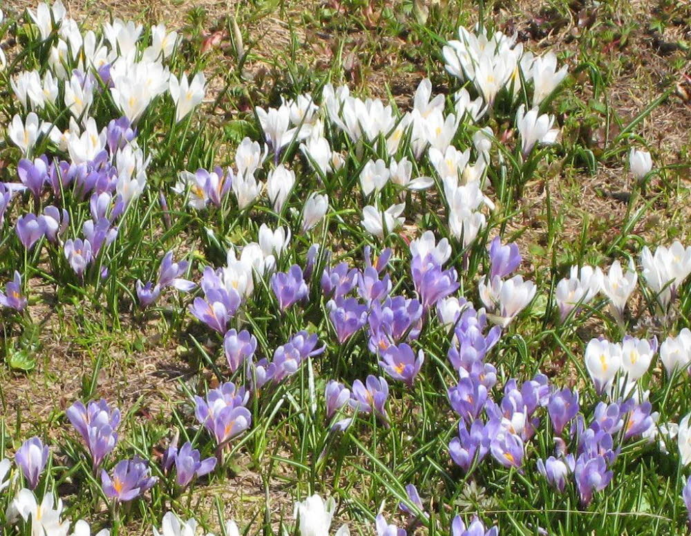 Kaltern-2008-05_019