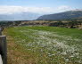 Kaltern-2008-05_020