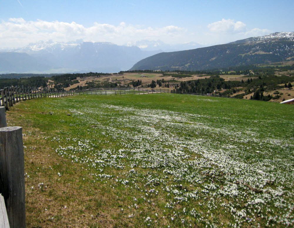 Kaltern-2008-05_020