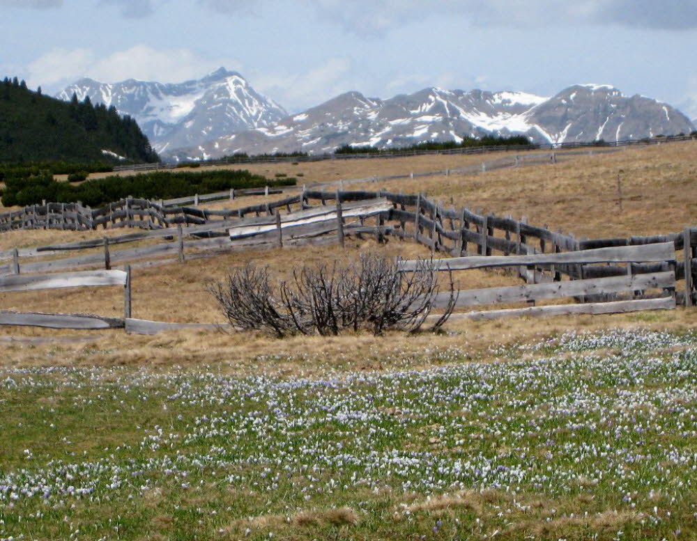 Kaltern-2008-05_023