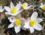 Kaltern-2008-05_024