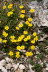 Kaltern-2008-05_055