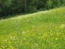 Kaltern-2008-05_066