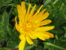 Kaltern-2008-05_067