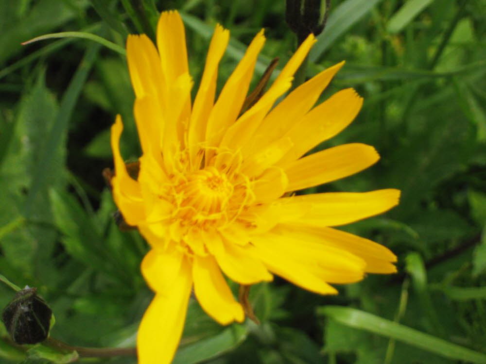 Kaltern-2008-05_067