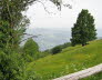 Kaltern-2008-05_068