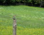 Kaltern-2008-05_077