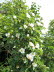 Kaltern-2008-05_083
