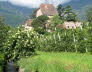 Kaltern-2008-05_084