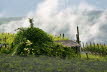 Kaltern-2008-05_091