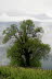 Kaltern-2008-05_092