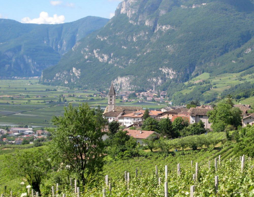 Kaltern-2008-05_099