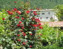 Kaltern-2008-05_108