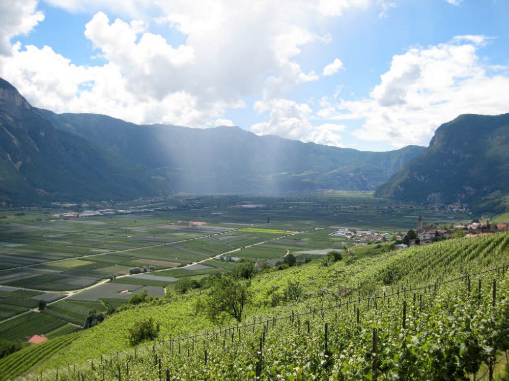 Kaltern-2008-05_111