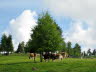 Kaltern-2008-05_118