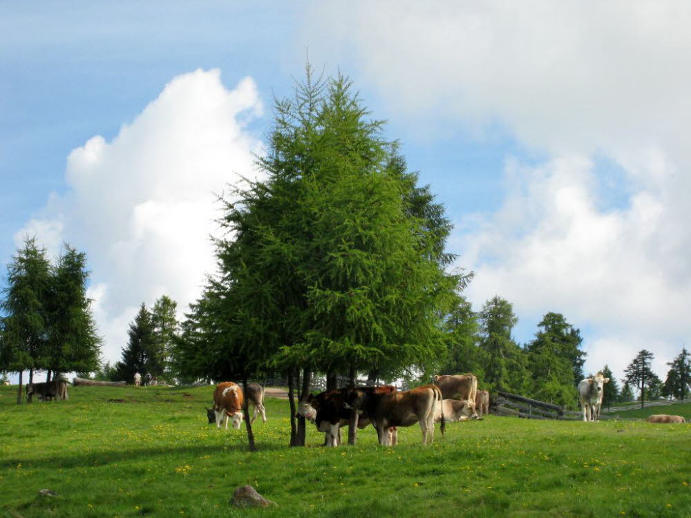 Kaltern-2008-05_118