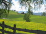 Kaltern-2008-05_122