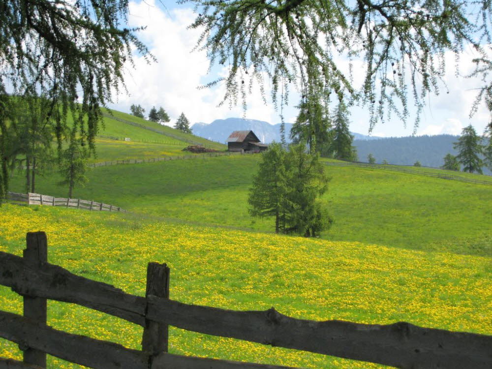 Kaltern-2008-05_122