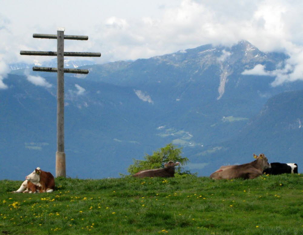 Kaltern-2008-05_124