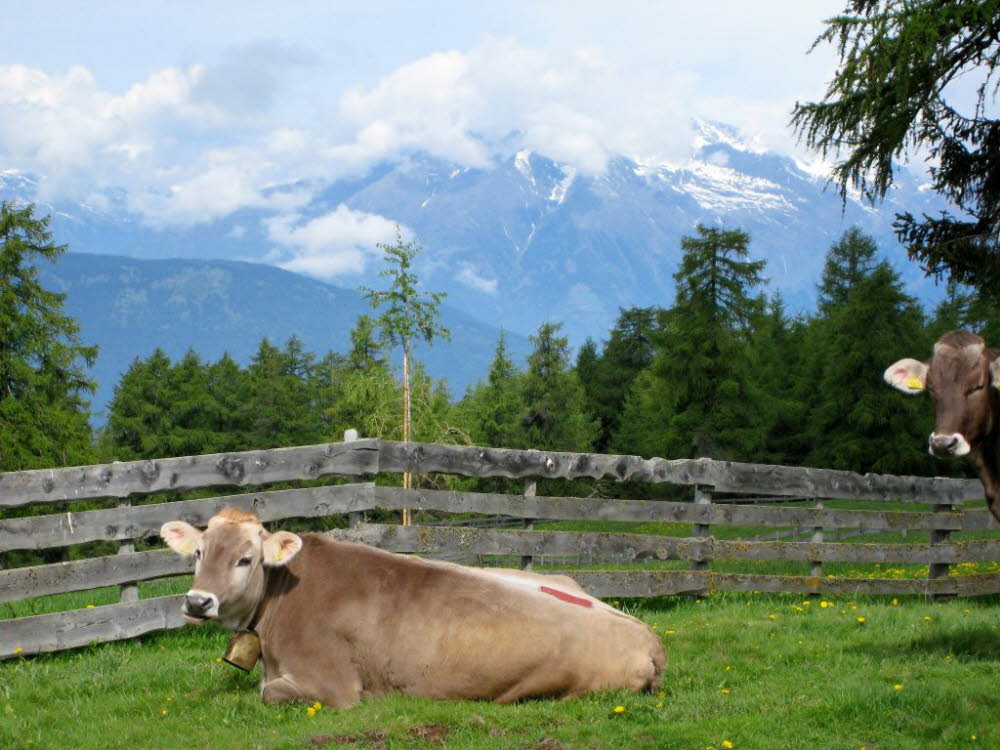 Kaltern-2008-05_125